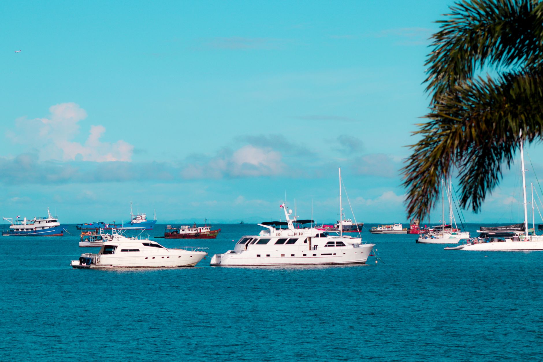 Panama sailing